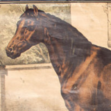 Affiche "cheval" lithographie Karl Jansky Böhmen 1897