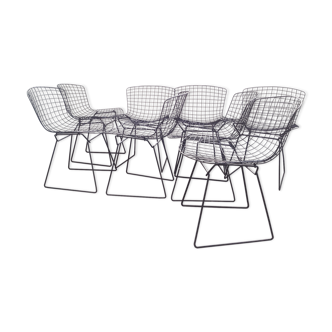 Lot of 8 black chairs Bertoia from the 1950s