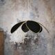 Flower suspension with metal structure and 6 black linen petals