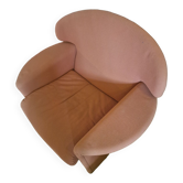 Pair of vintage Ronda armchairs by Afra and Tobia Scarpa