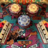 Pinball machine Jungle Queen Gottlieb USA 1977