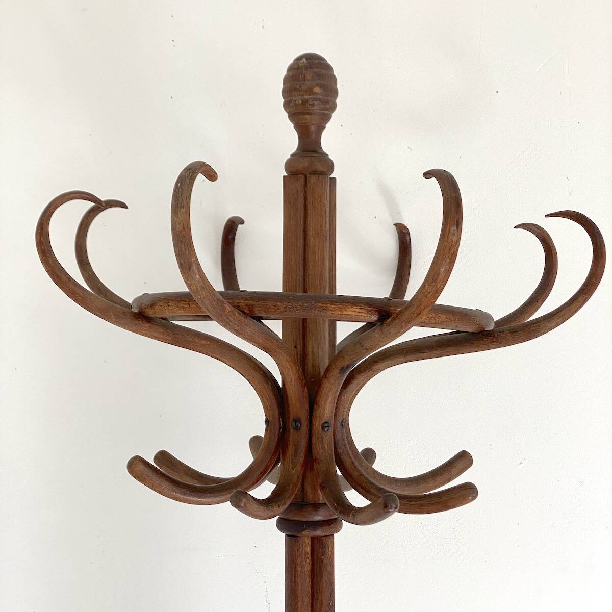 Thonet Style Parrot Coat Rack in Bent Wood, Early 20th Century
