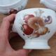 Pyrolux Lourioux porcelain soup bowls