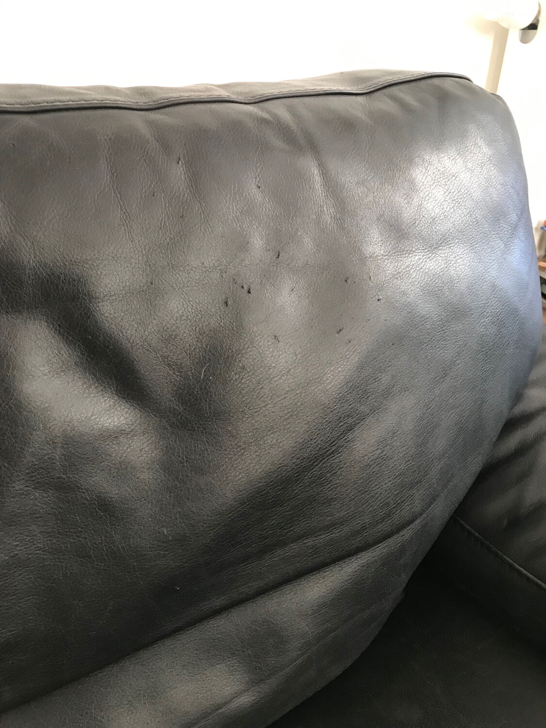 Steiner sofa bed in black leather