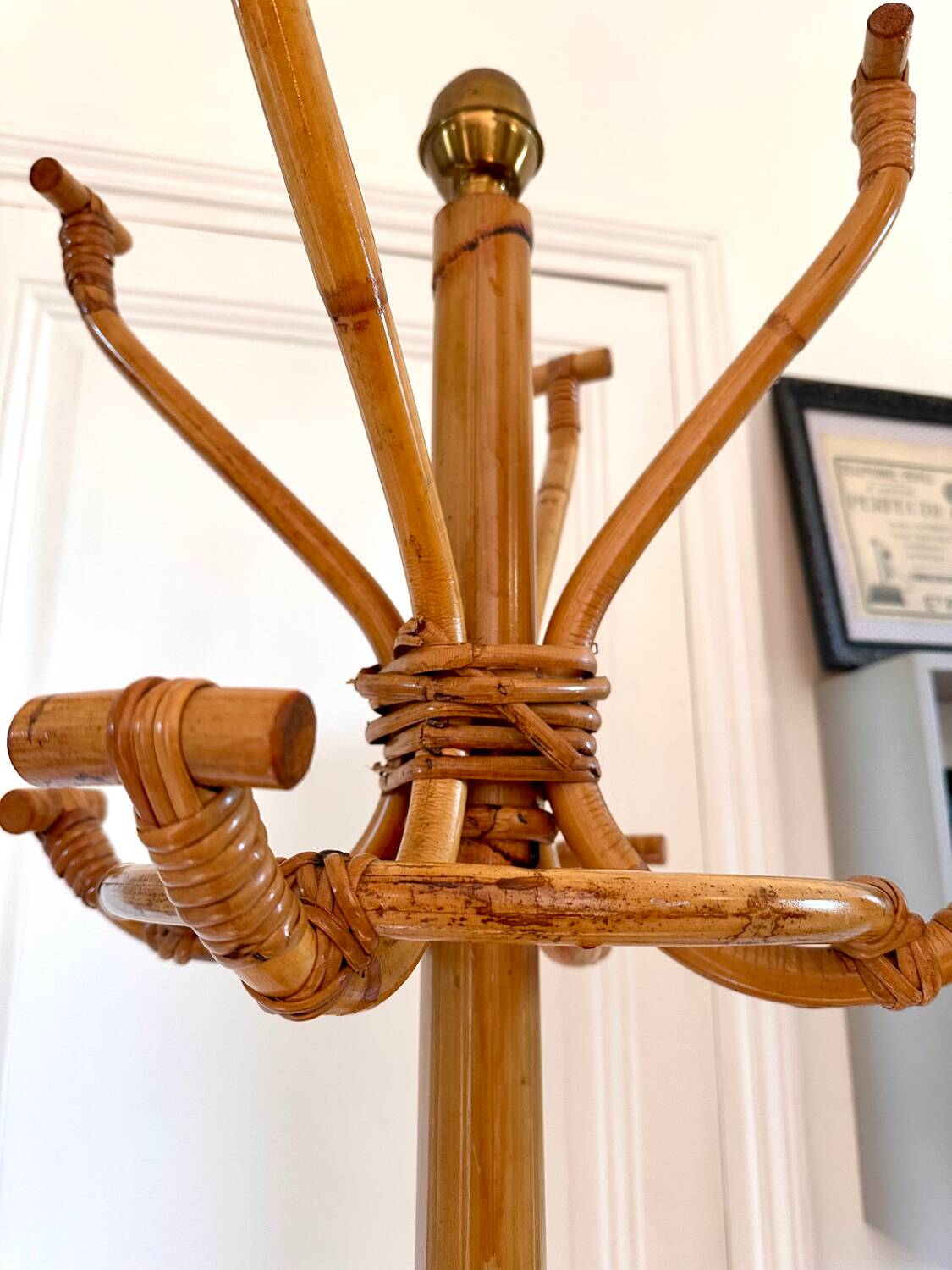 Vintage Rattan Parrot Coat Rack