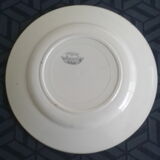2 old plates