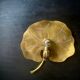 Water lily wall light