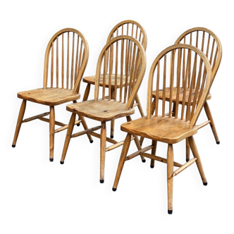 5 English Windsor chairs in solid curved wood, 20th century