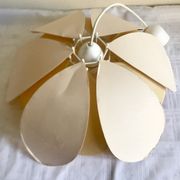 Suspension flower petals
