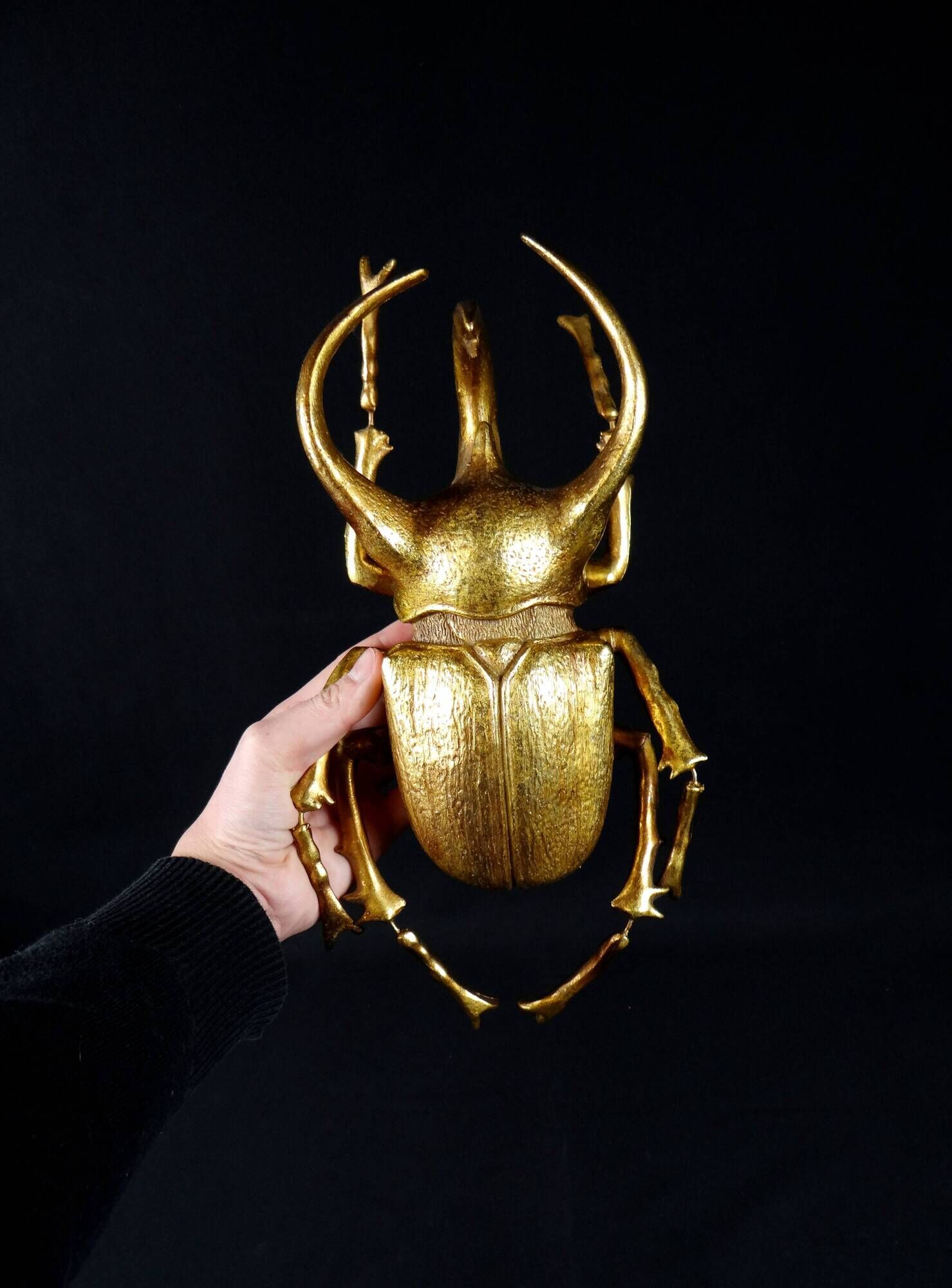 Contemporary style golden scarab wall sculpture in resin and metal