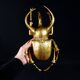 Contemporary style golden scarab wall sculpture in resin and metal