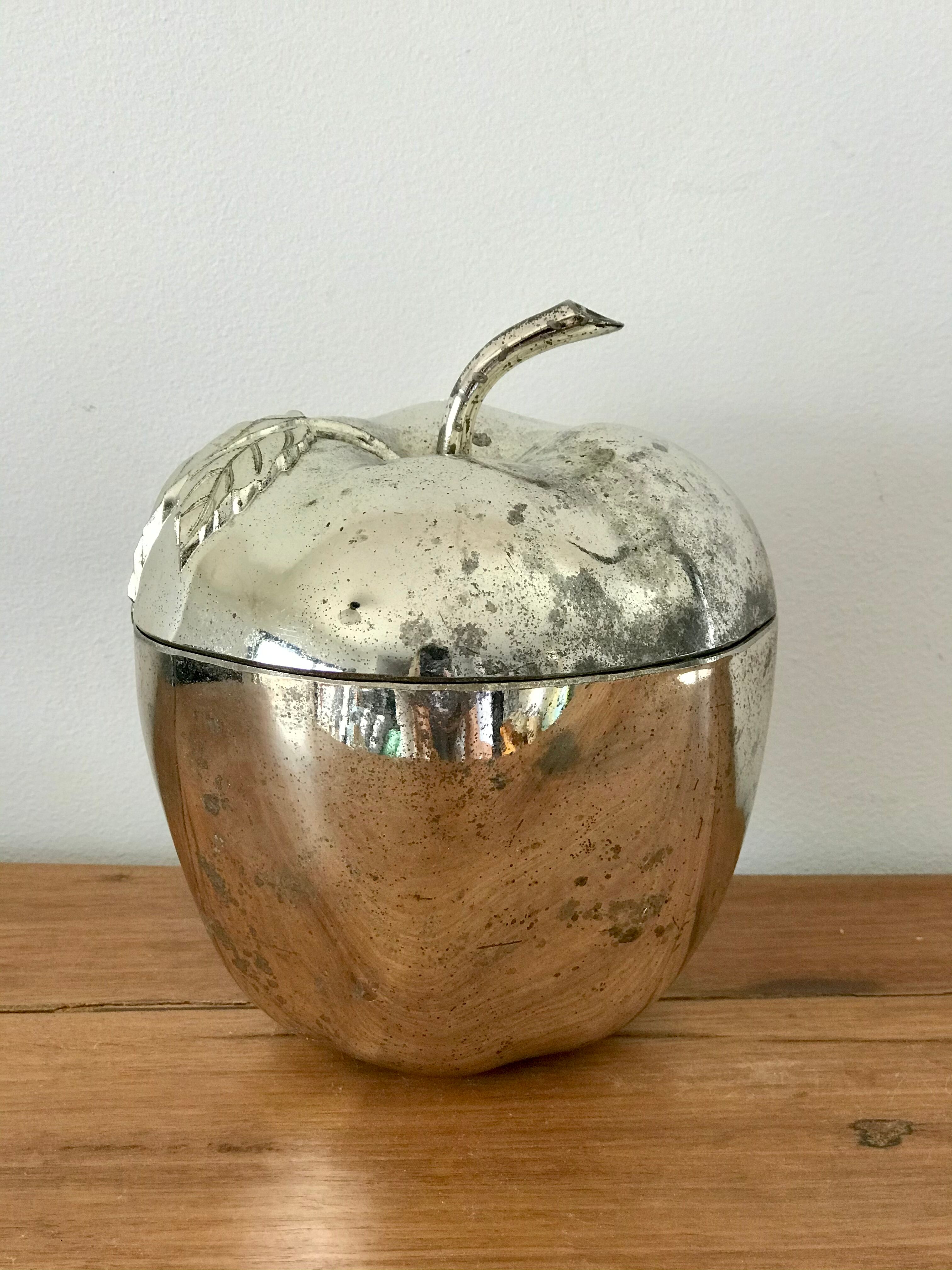 Vintage ice cube apple