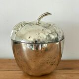 Vintage ice cube apple
