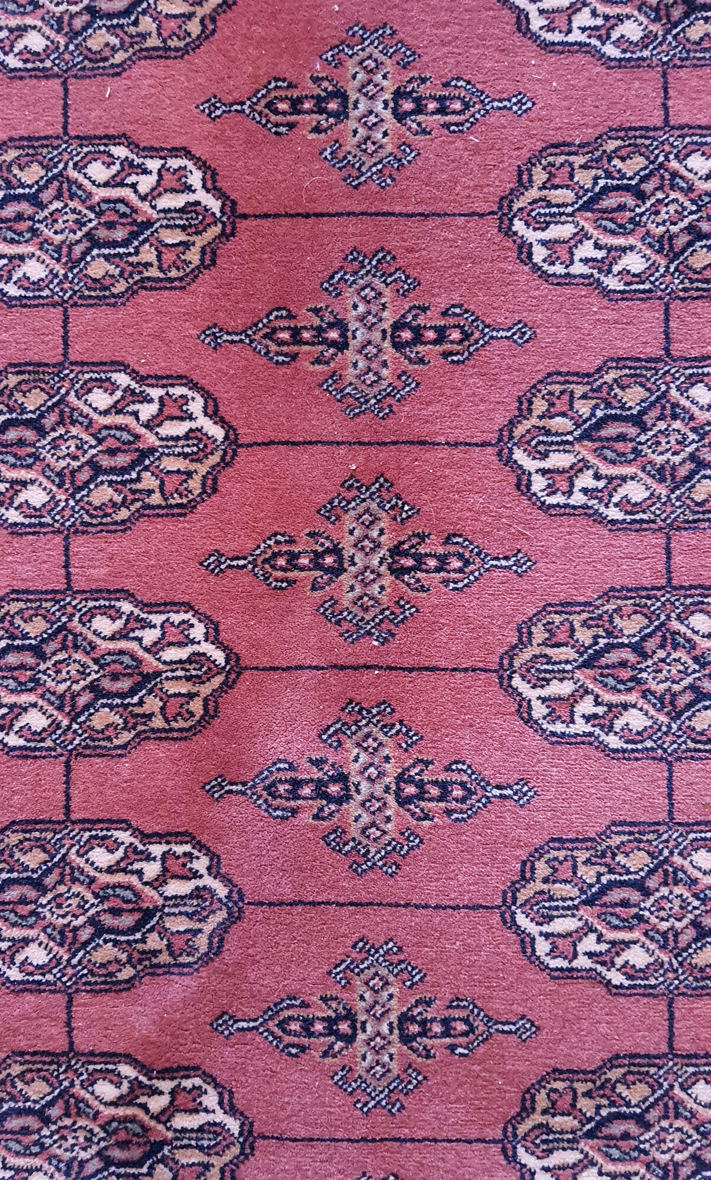 Carpet Iran mechanical 83x160 cm