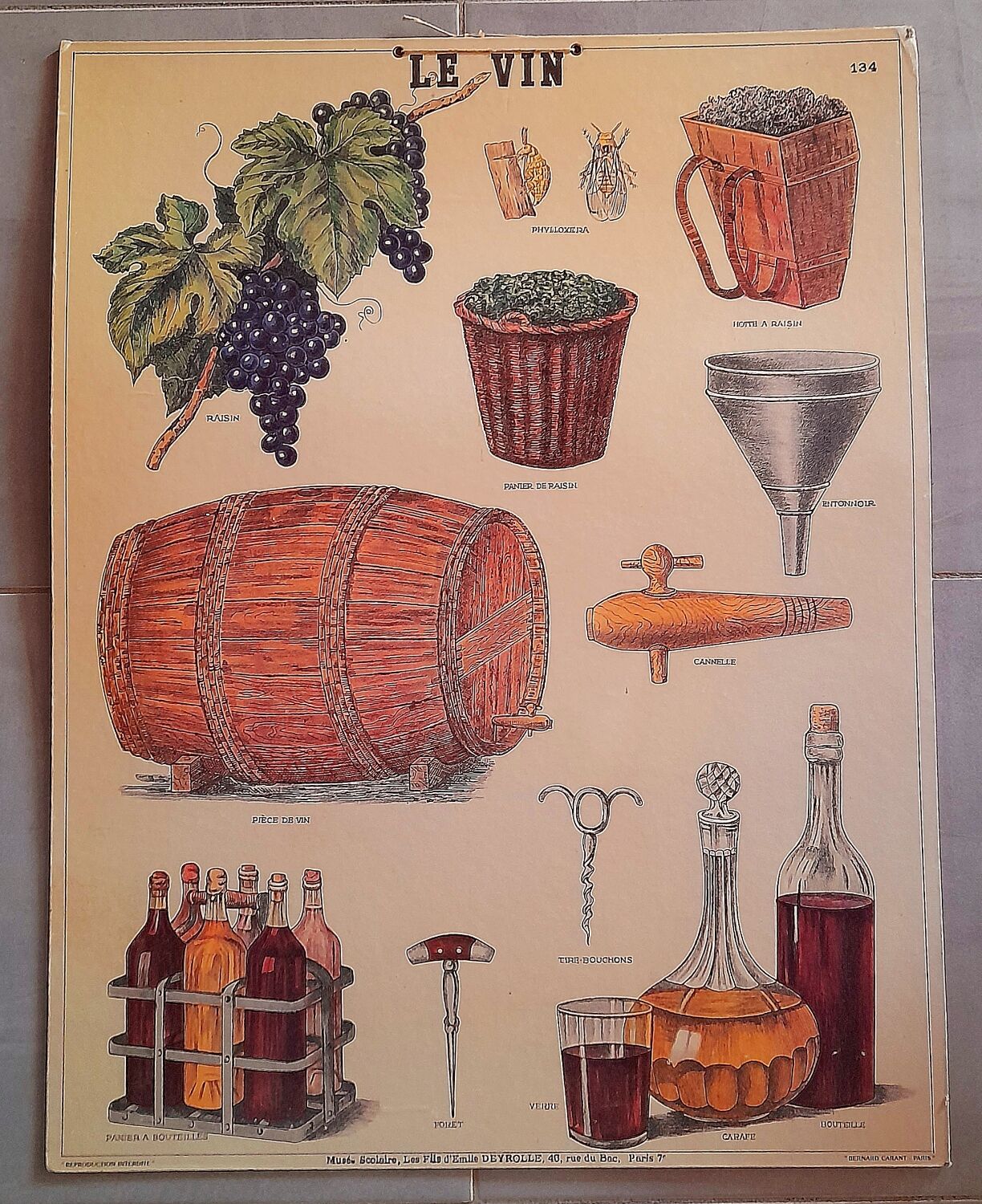 Educational poster Deyrolles Le Vin.