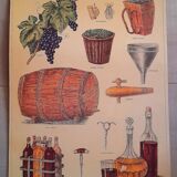 Educational poster Deyrolles Le Vin.