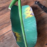 Polynesian wooden top