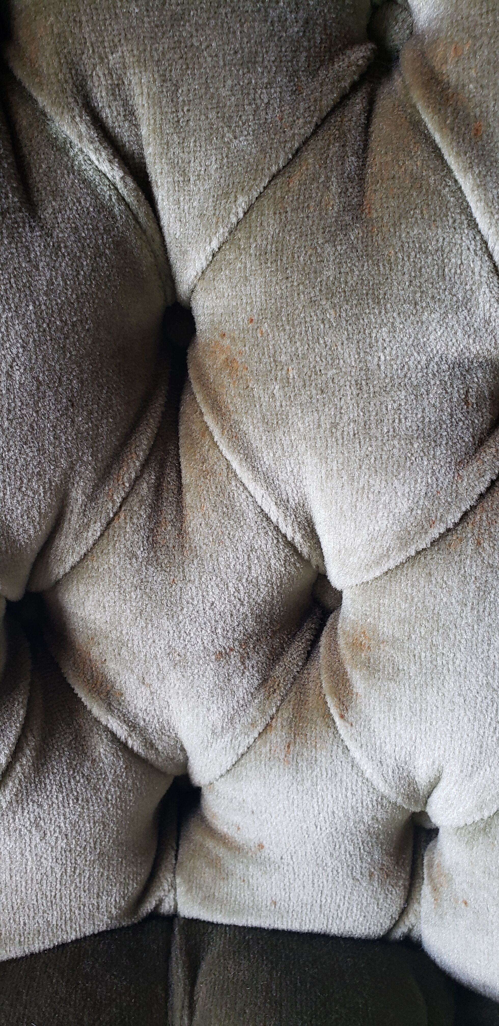 Green velvet toad armchair