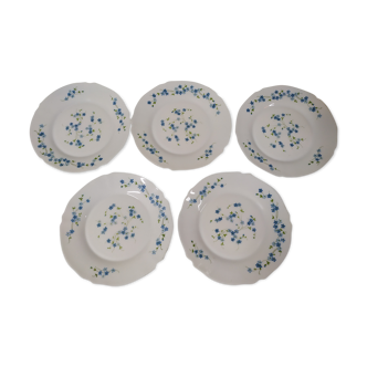 Set de 5 assiettes plate Arcopal Véronica Myosotis fleur bleu vintage