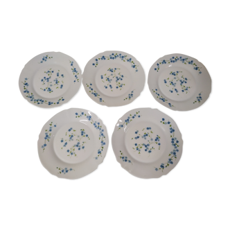 5 flat plates arcopal veronica myosotis vintage blue flower