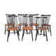 Ensemble de 7 chaises arrière à barreaux Pastoe, Nesto et Tapiovaara