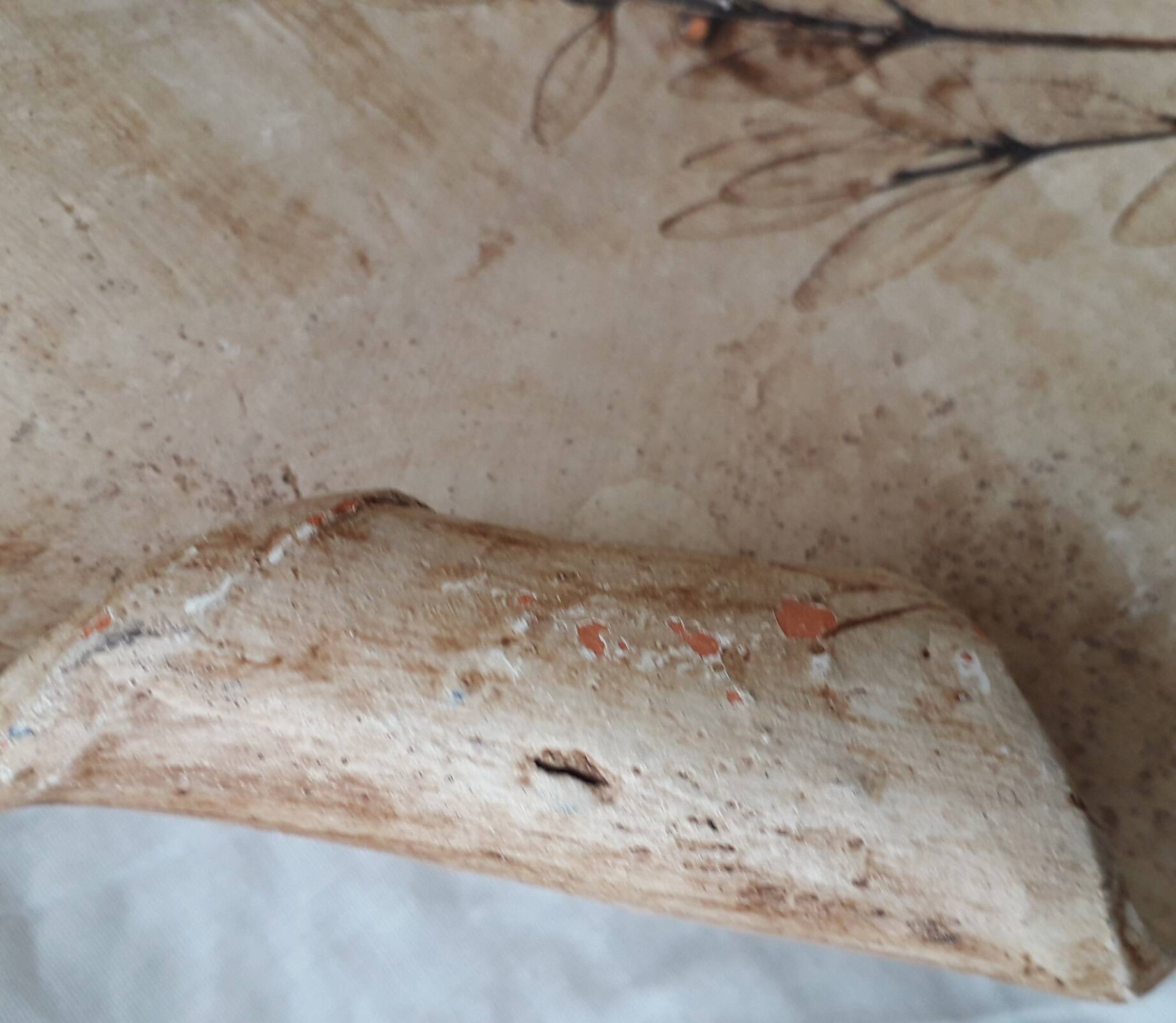 Herbarium cut dish