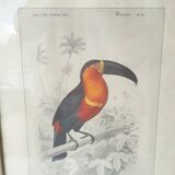 Educational framework