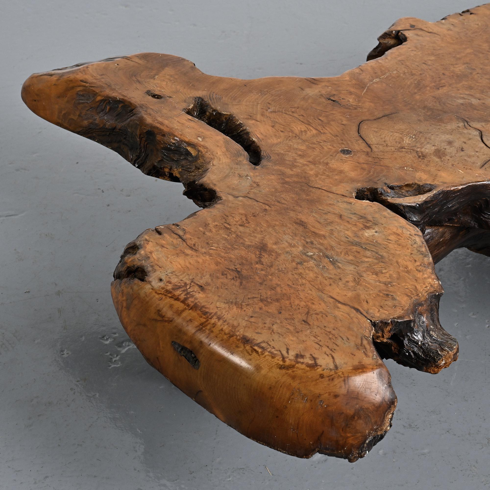 Table basse brutaliste en loupe d'orme, circa 1960