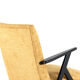 mid century modern vintage Armchair 'De Lier' - fully restored