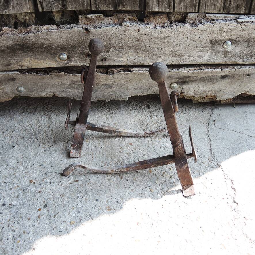 Antique Fleur de Lys Cast Iron Andirons