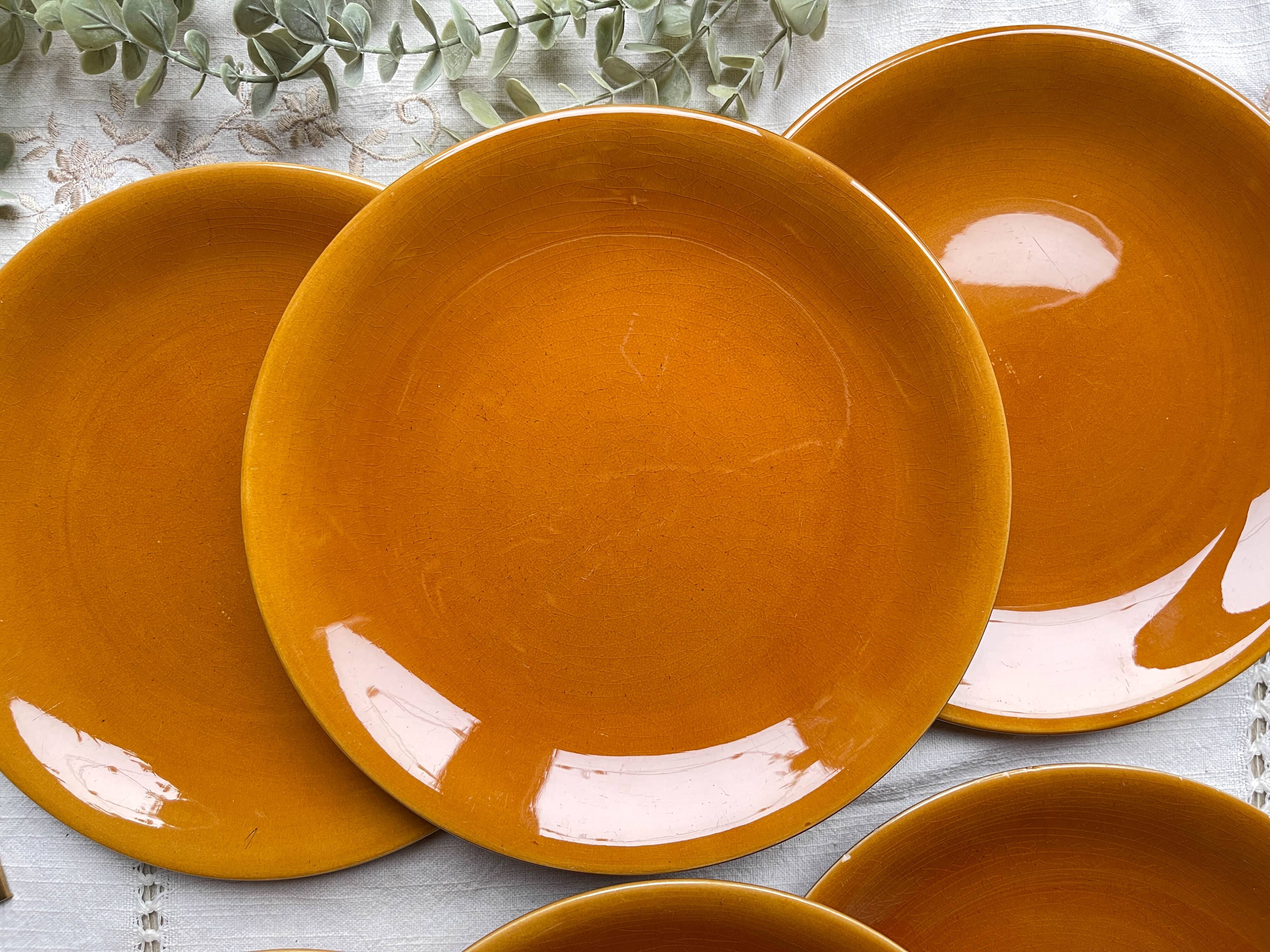 6 Vintage Longchamp amber earthenware plates, France 1970