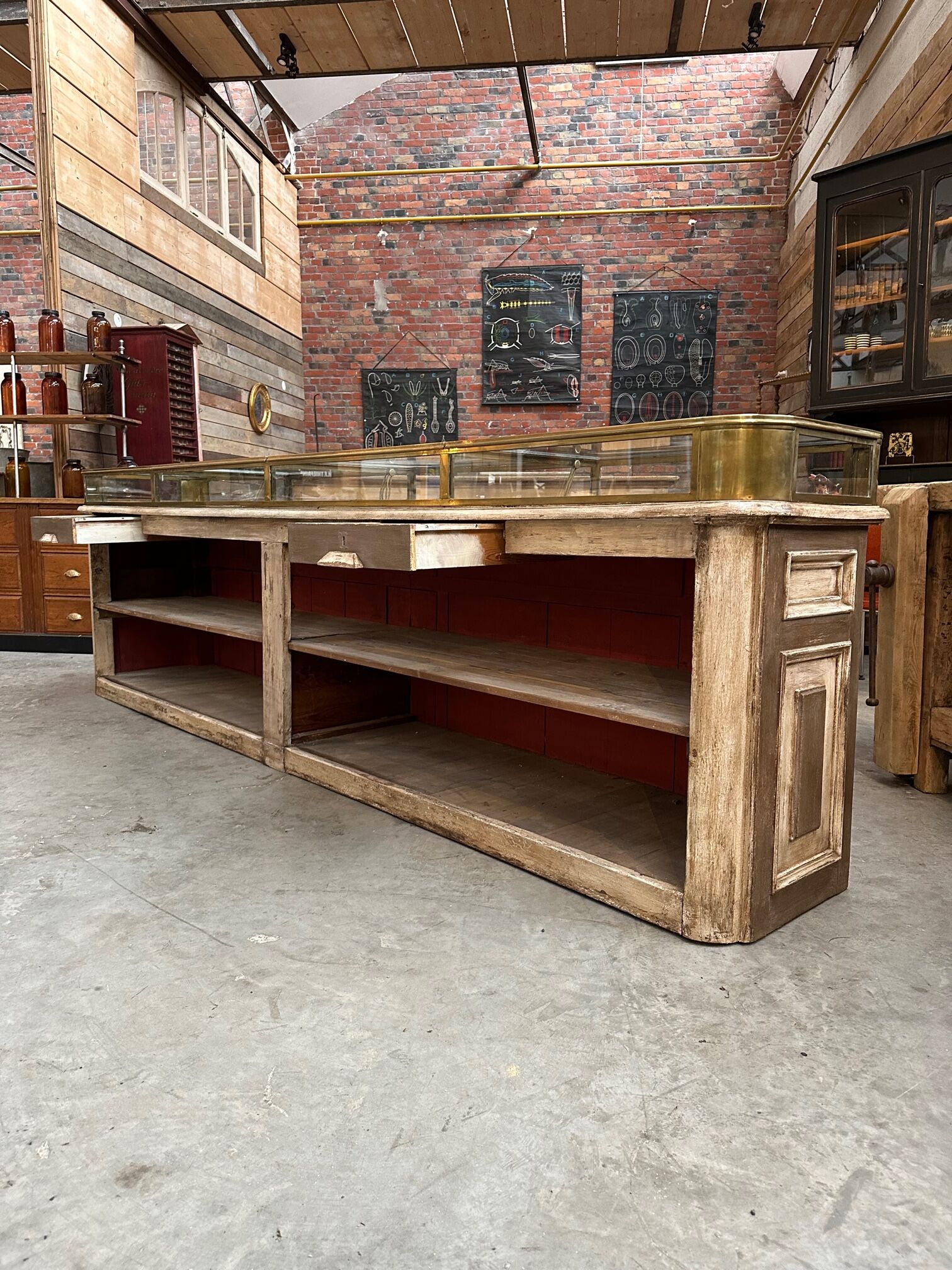 Showcase counter early twentieth century