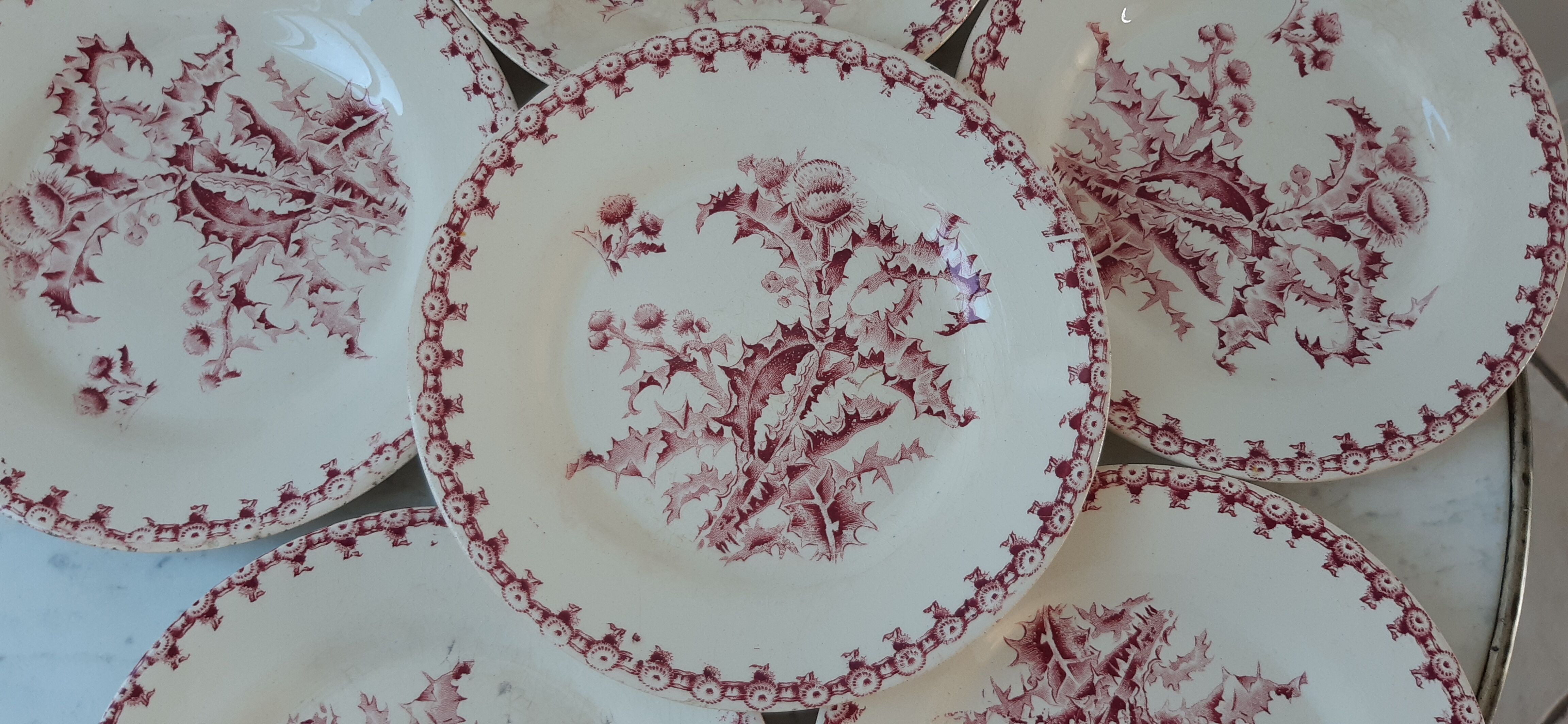 Set of 6 dessert plates Terre de Fer, Gien model thistle late nineteenth