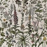 Lithograph on medicinal plants from 1928 (absinthe)