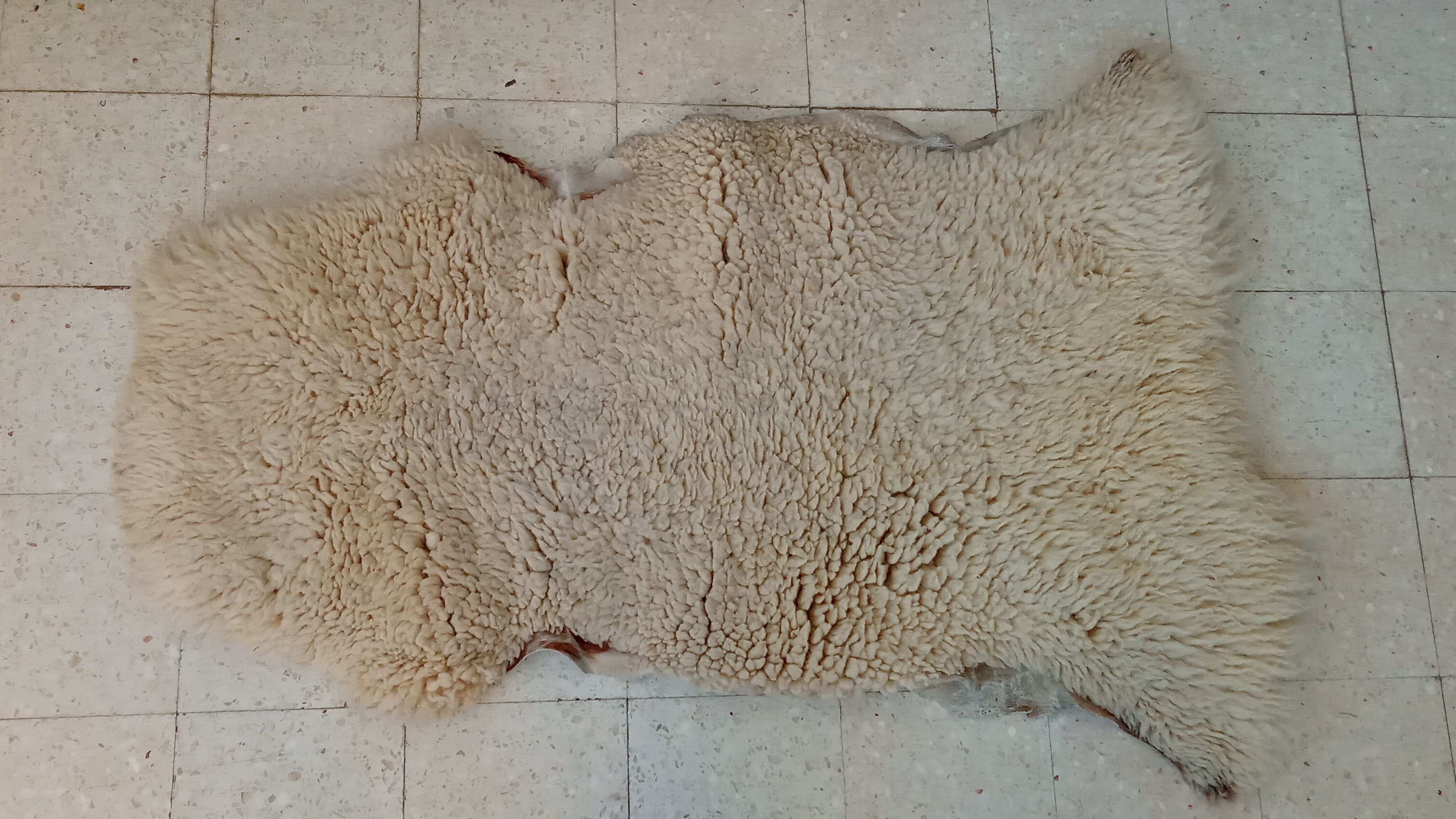 White sheepskin 109×76 cm