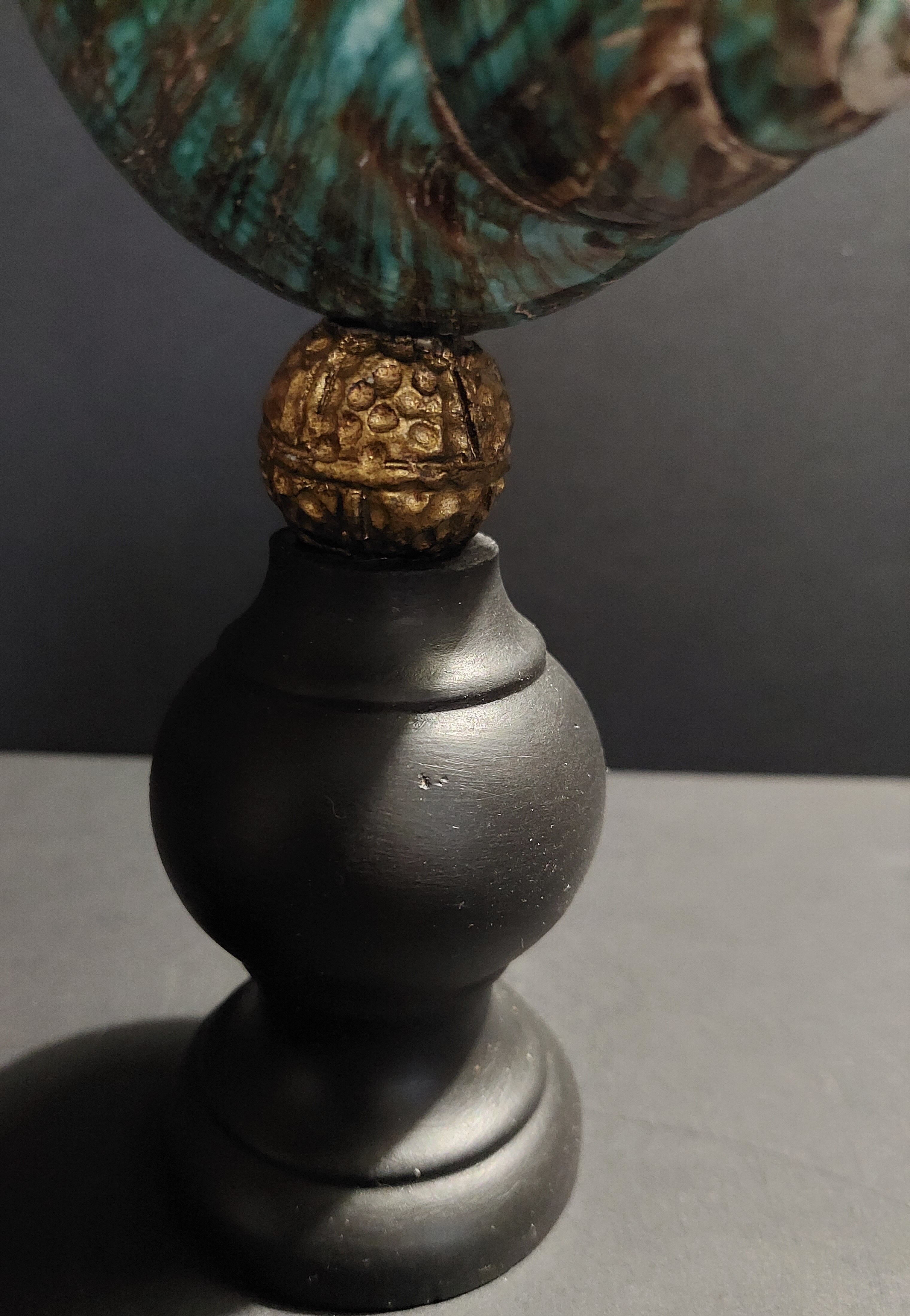Cabinet of curiosities shell turbo imperialis on base