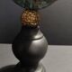 Cabinet of curiosities shell turbo imperialis on base