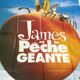 Affiche du film " James et la pêche géante "