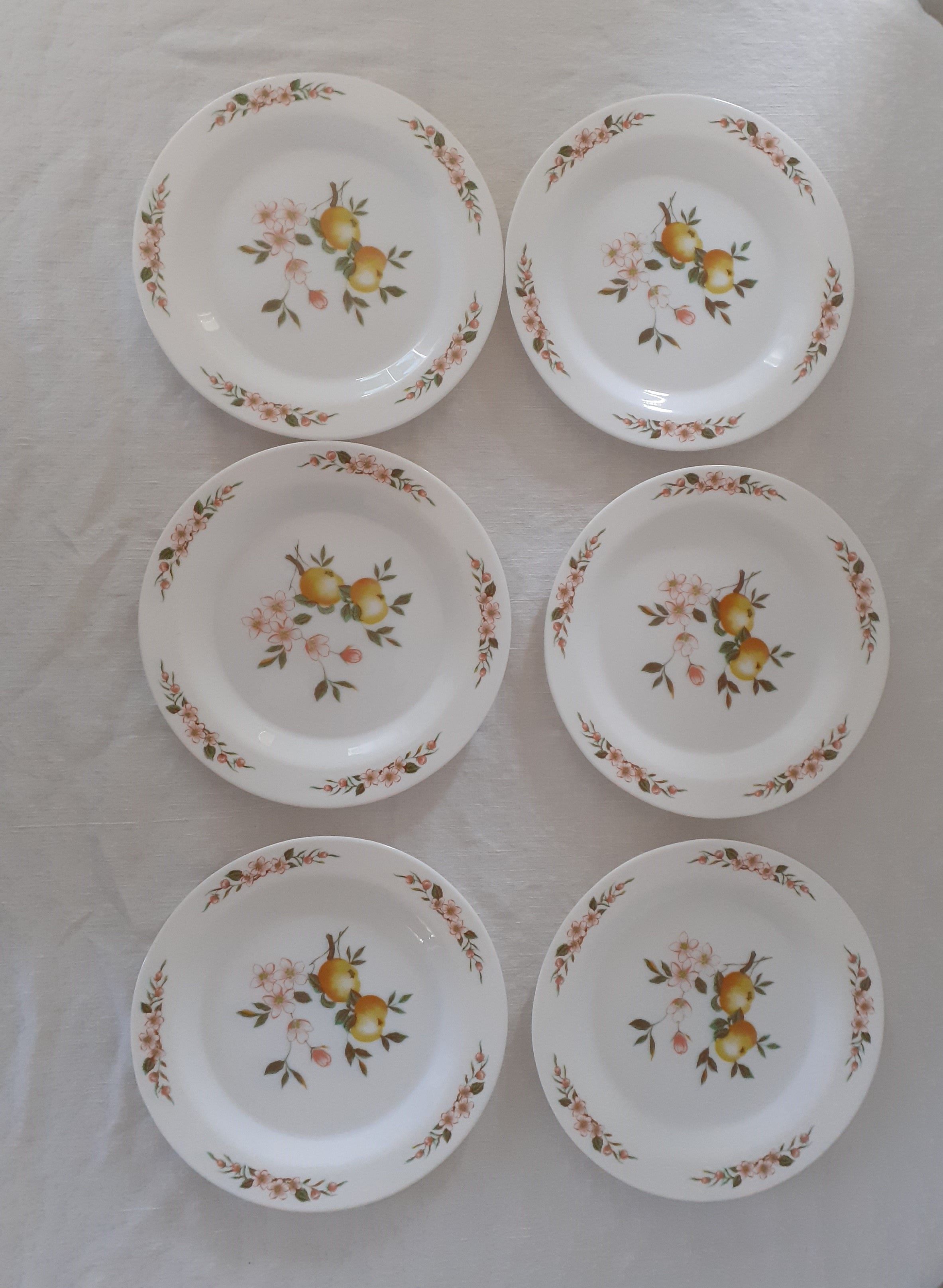 6 Flat plates Normandy apple decoration Arcopal france