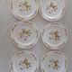 6 Flat plates Normandy apple decoration Arcopal france