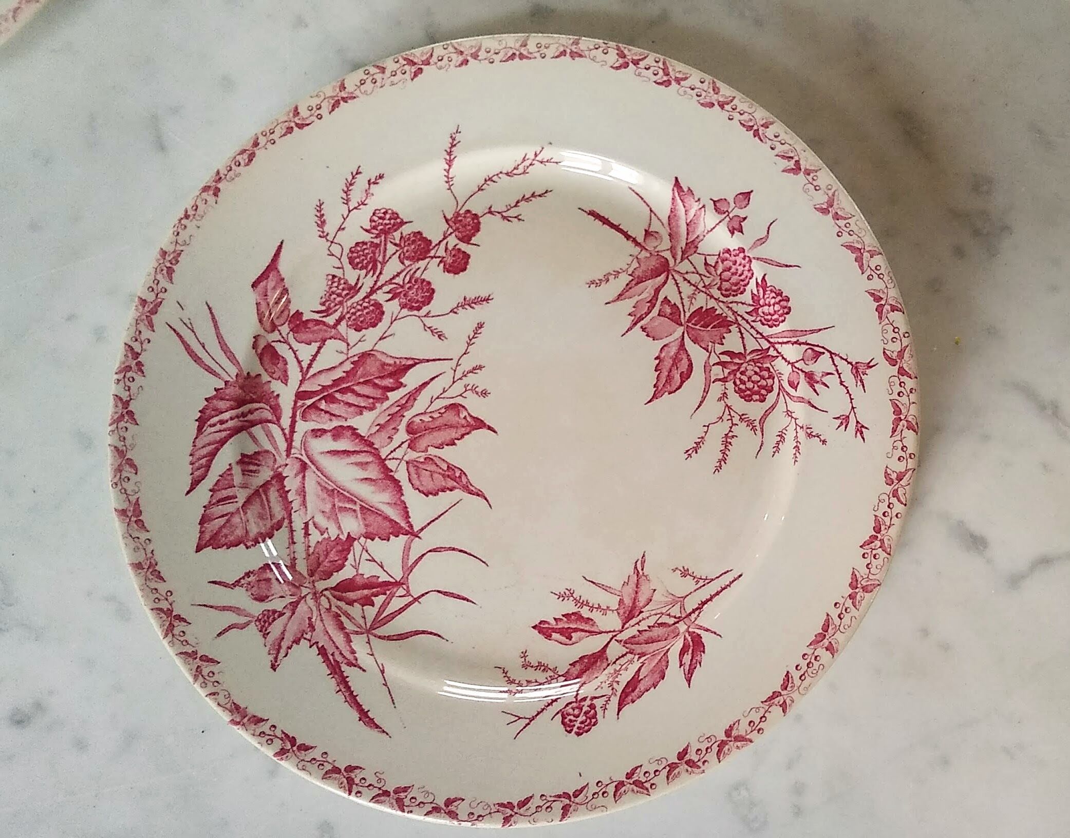 7 flat plates pattern Blackberry from Badonviller