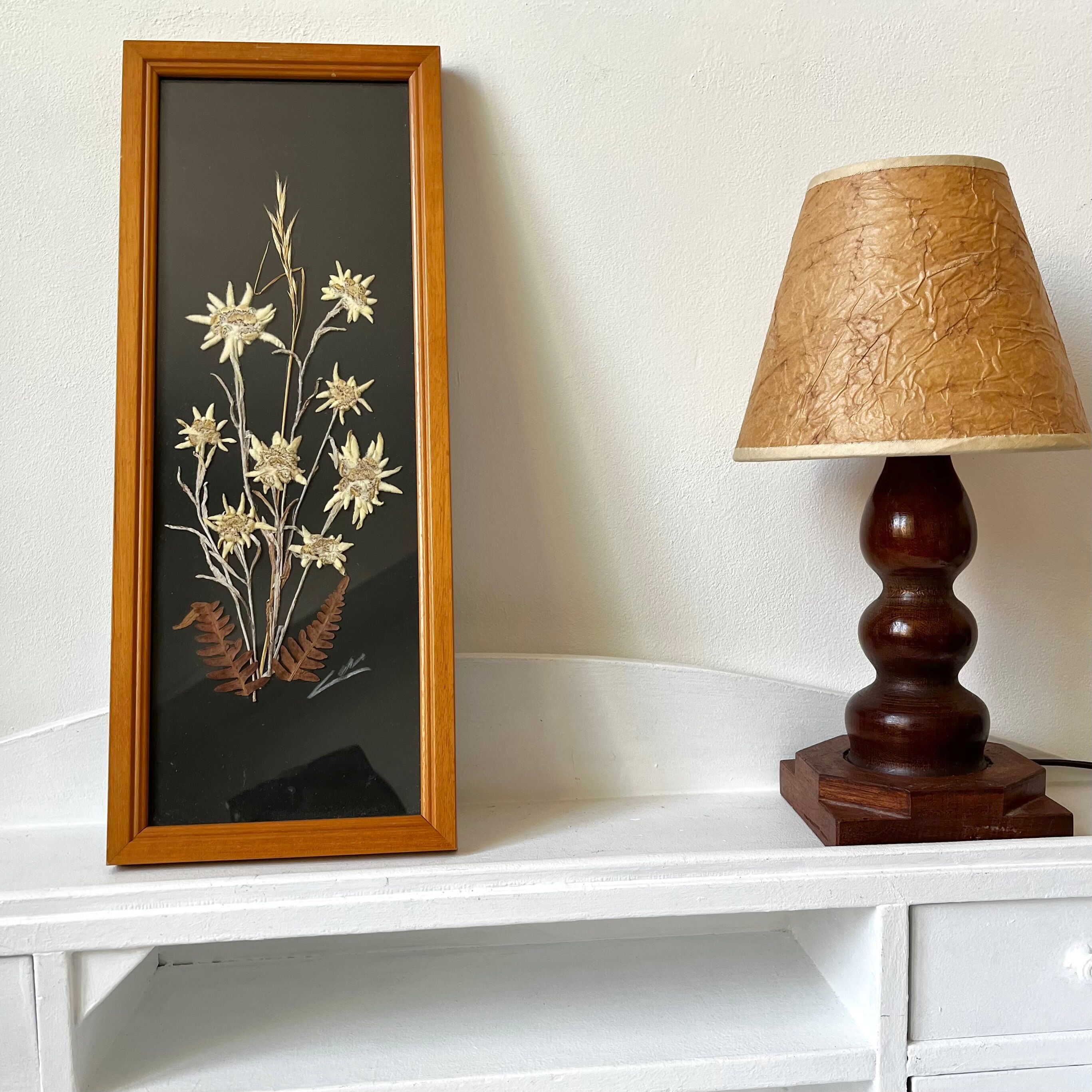 Vintage mountain edelweiss flower herbarium frame