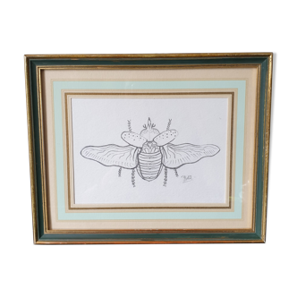 Framed insect sketch