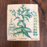 10 "herbarium" frames