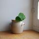 Stoneware