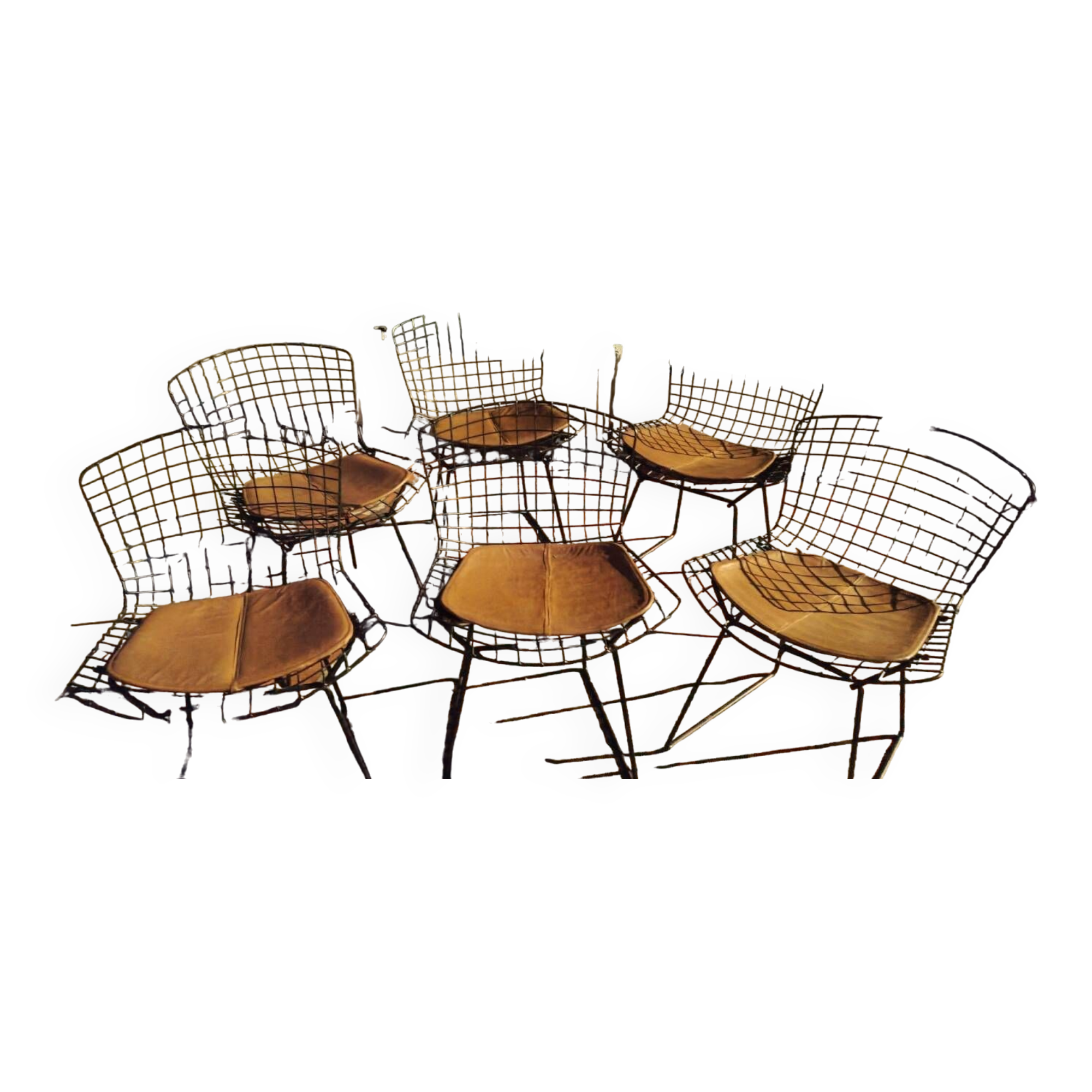 6 chaises Wire Harry Bertoia noires