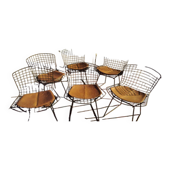 6 black Wire Harry Bertoia chairs