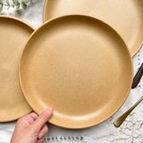 3 Assiettes Vintage en Grès Sarreguemines modèle Fermette made in France