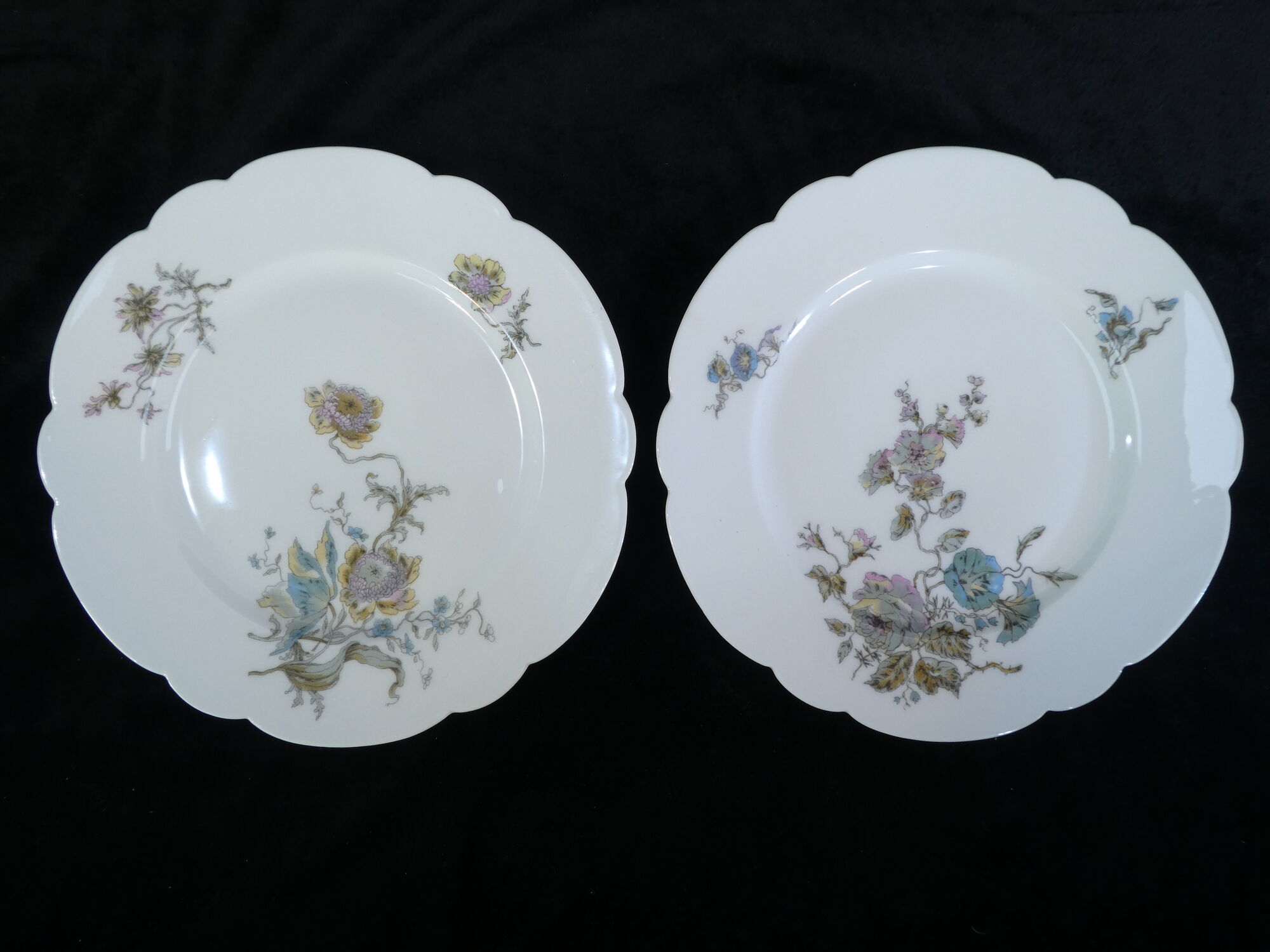 12 Limoges porcelain dinner plates for E.Bourgeois Paris
