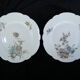 12 Limoges porcelain dinner plates for E.Bourgeois Paris